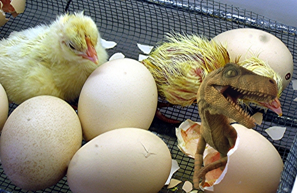 Creation of Newly Hatched Surprise: Step 7